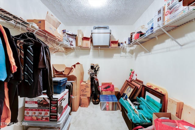 692 Shadywood Ln, Knoxville, TN 37923 - spacious closet featuring carpet flooring