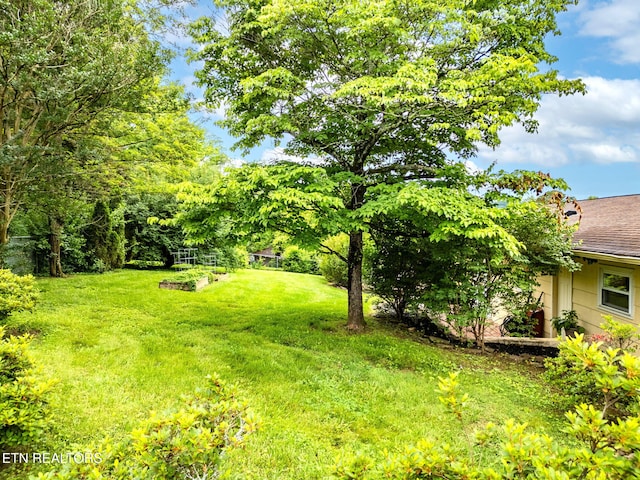 120 Cooper Cir, Oak Ridge, TN 37830 - view of green lawn