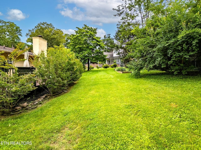 120 Cooper Cir, Oak Ridge, TN 37830 - view of grassy yard