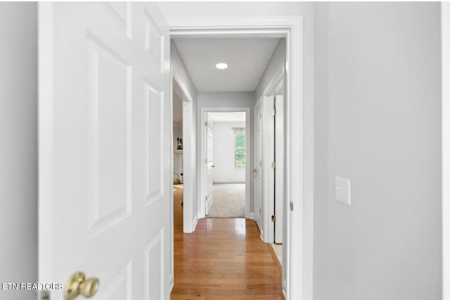 153 Creed Way, New Tazewell, TN 37825 - hallway with light wood-style floors and recessed lighting