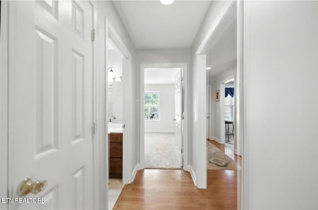 153 Creed Way, New Tazewell, TN 37825 - corridor with light wood-style floors and baseboards