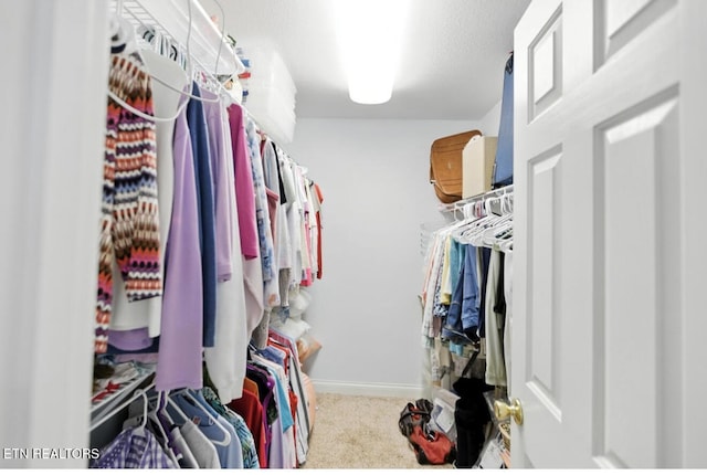 153 Creed Way, New Tazewell, TN 37825 - spacious closet with carpet floors