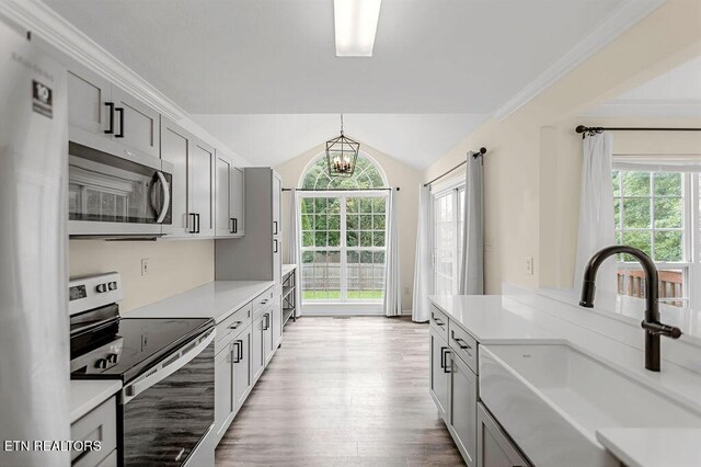 1213 Vale View Rd, Knoxville, TN 37922 - kitchen with appliances with stainless steel finishes, a sink, plenty of natural light, wood finished floors, and vaulted ceiling
