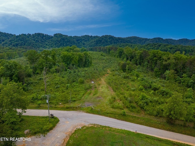 256 Atkins Rd, Madisonville, TN 37354 - photo 14