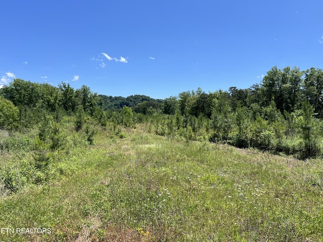 256 Atkins Rd, Madisonville, TN 37354 - photo 3