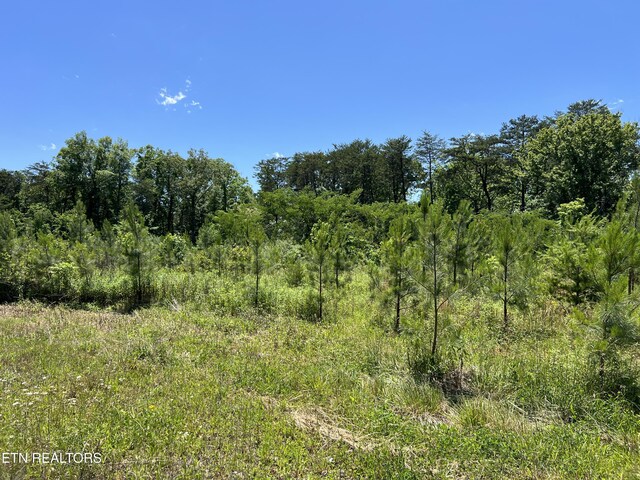 256 Atkins Rd, Madisonville, TN 37354 - photo 4