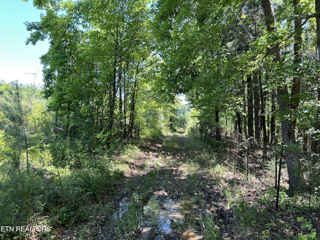 256 Atkins Rd, Madisonville, TN 37354 - photo 6
