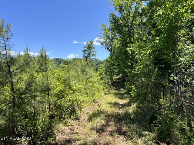 256 Atkins Rd, Madisonville, TN 37354 - photo 7