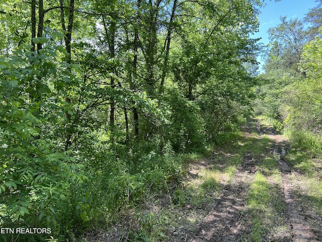 256 Atkins Rd, Madisonville, TN 37354 - photo 17