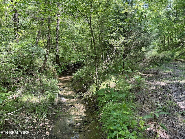 256 Atkins Rd, Madisonville, TN 37354 - photo 18