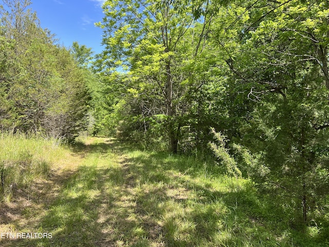 256 Atkins Rd, Madisonville, TN 37354 - photo 20