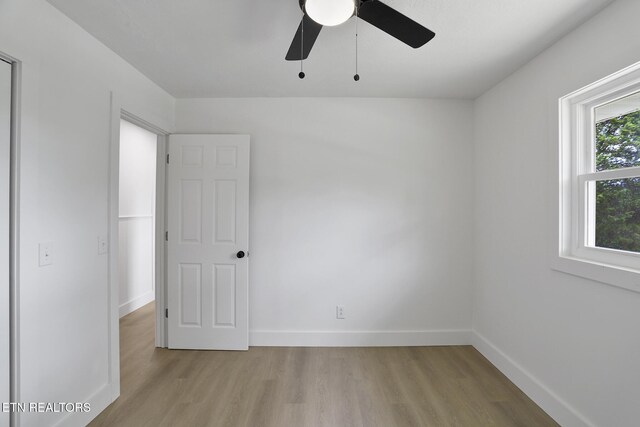 312 Lakeview Rd, Harriman, TN 37748 - photo 22