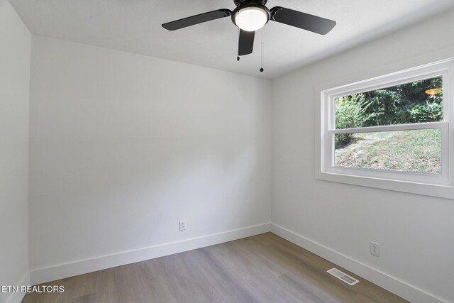 312 Lakeview Rd, Harriman, TN 37748 - photo 32