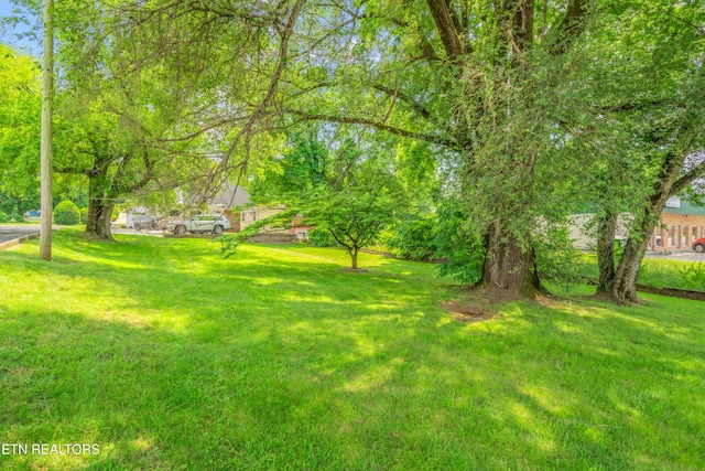 129 N Kingston Ave, Rockwood, TN 37854 - photo 8