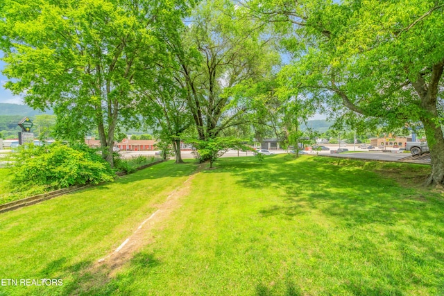 129 N Kingston Ave, Rockwood, TN 37854 - photo 15