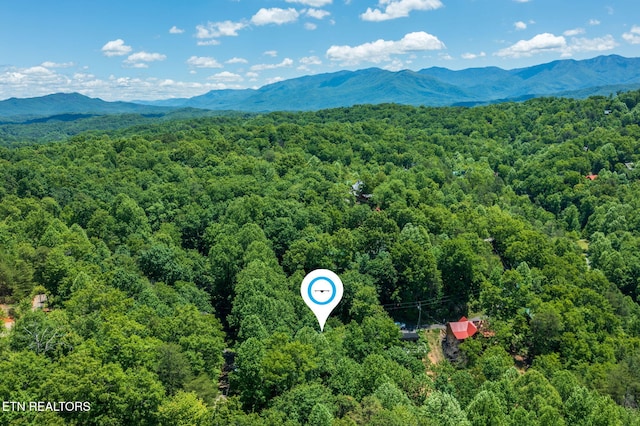 2261 Beach Front Dr, Sevierville, TN 37876 - aerial view of a heavily wooded area and a mountain backdrop