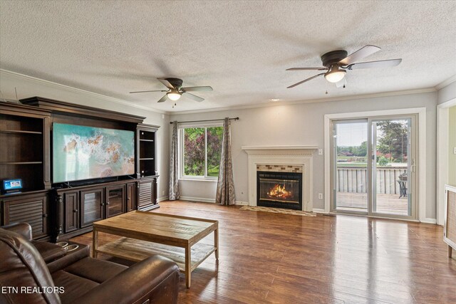 7519 Saddlebrooke Dr, Knoxville, TN 37938 - photo 4