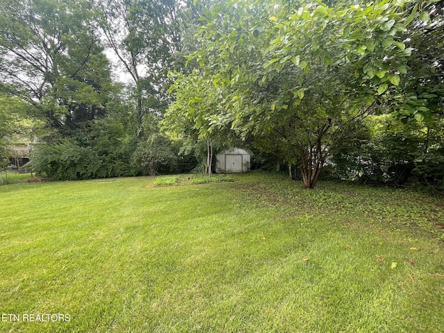 217 Newport Rd Unit 5, Knoxville, TN 37934 - view of green lawn