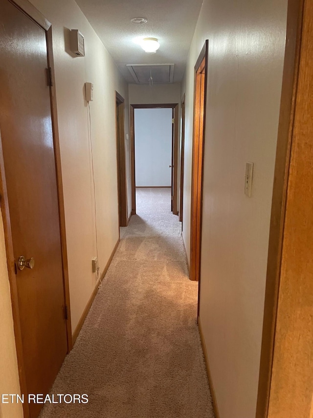 217 Newport Rd Unit 5, Knoxville, TN 37934 - corridor with attic access and light colored carpet