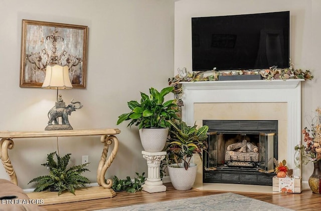 236 Stratford Dr, Cookeville, TN 38506 - detailed view of a glass covered fireplace and wood finished floors