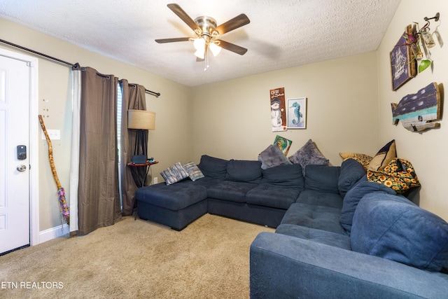 2011 NE Clay St, Knoxville, TN 37917 - photo 4