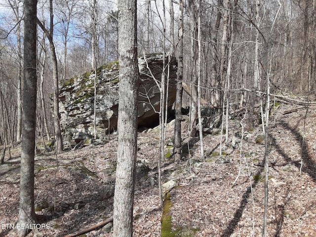 95.43ACRE Sheep Bluff Rd, Cookeville, TN 38506