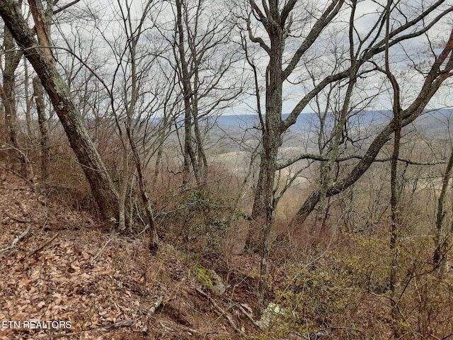 95.43ACRE Sheep Bluff Rd, Cookeville, TN 38506