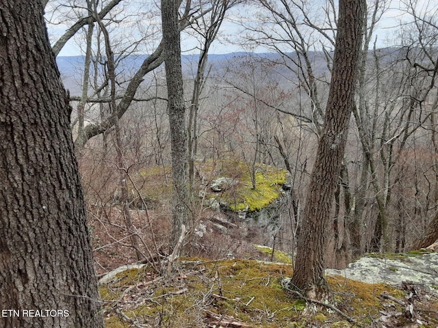 95.43ACRE Sheep Bluff Rd, Cookeville, TN 38506