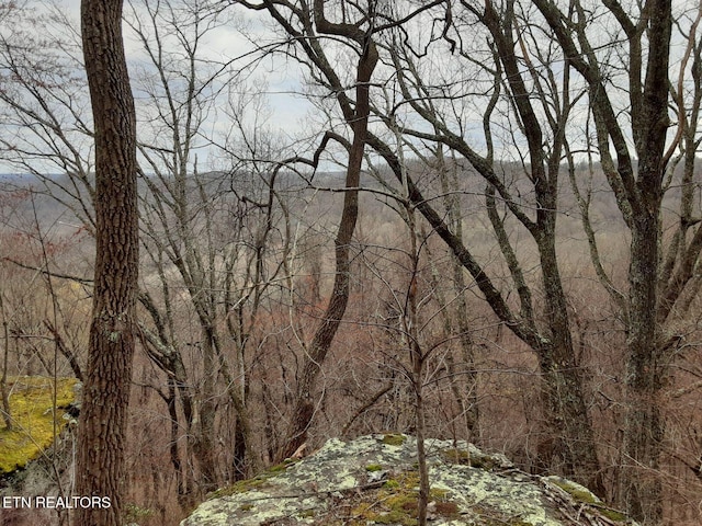 95.43ACRE Sheep Bluff Rd, Cookeville, TN 38506