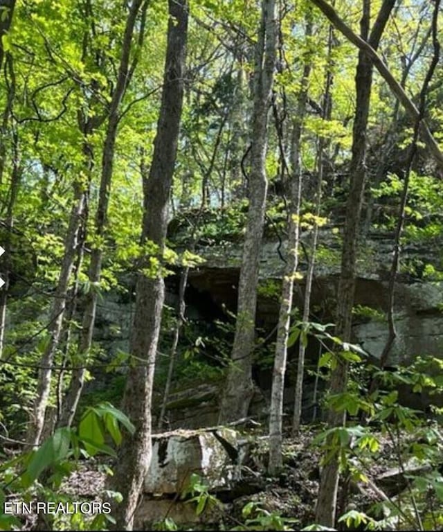 95.43ACRE Sheep Bluff Rd, Cookeville, TN 38506