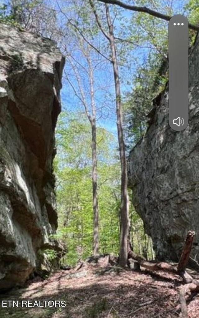 95.43ACRE Sheep Bluff Rd, Cookeville, TN 38506