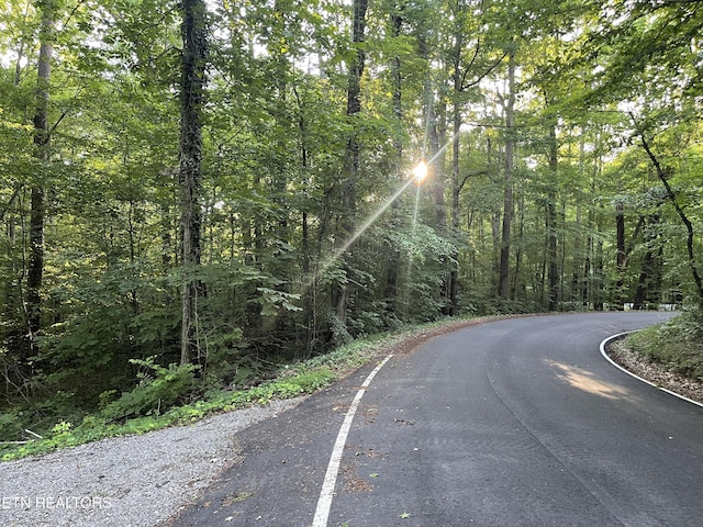 Gamble Ln, Walland, TN 37886