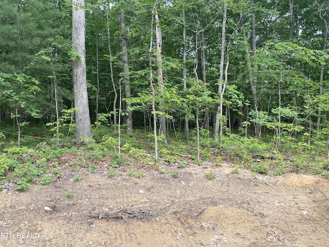 233 Albemarle Cir, Fairfield Glade, TN 38558 - view of tree filled area