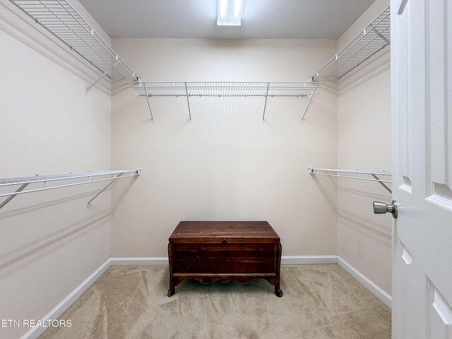 11104 Joiner Way, Knoxville, TN 37934 - spacious closet featuring carpet floors