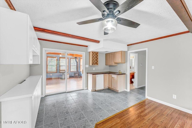 1413 Farrington Dr Unit 1, Knoxville, TN 37923 - kitchen with a textured ceiling, baseboards, and ceiling fan