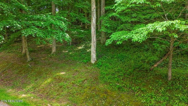 Butcher Ln, Rocky Top, TN 37769