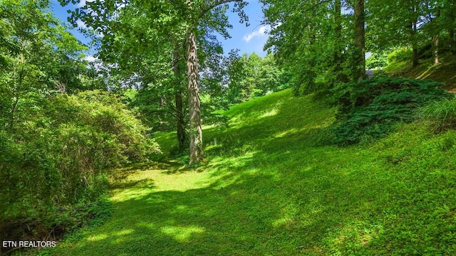 Butcher Ln, Rocky Top, TN 37769