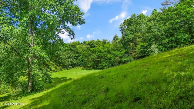 Butcher Ln, Rocky Top, TN 37769