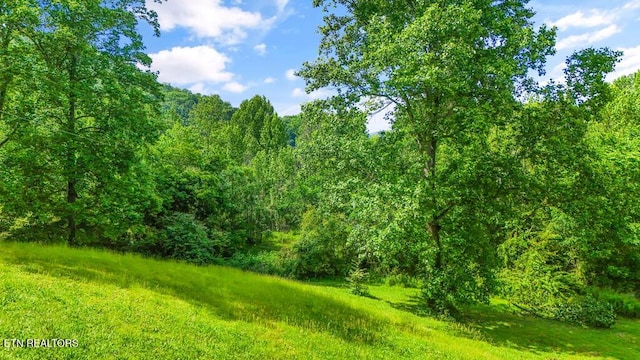 Butcher Ln, Rocky Top, TN 37769