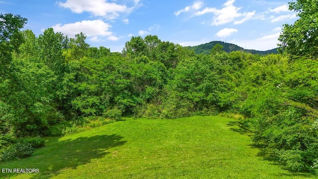 Butcher Ln, Rocky Top, TN 37769