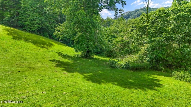 Butcher Ln, Rocky Top, TN 37769