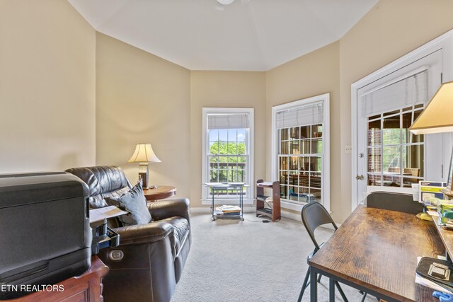 827 Knight Bridge Rd, Maryville, TN 37803 - home office featuring carpet floors and healthy amount of natural light