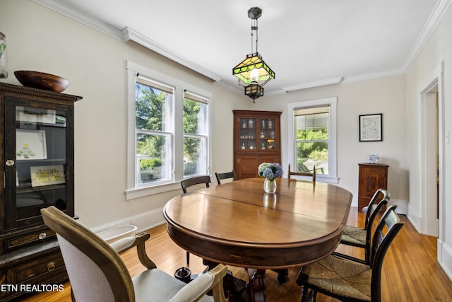 916 Southgate Rd, Knoxville, TN 37919 - photo 14