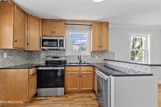 207 N Laurel Cir, Knoxville, TN 37912 - kitchen featuring appliances with stainless steel finishes, a sink, a peninsula, light wood finished floors, and ornamental molding