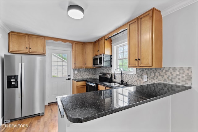 207 N Laurel Cir, Knoxville, TN 37912 - kitchen with appliances with stainless steel finishes, a sink, light wood finished floors, crown molding, and a peninsula