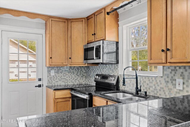 207 N Laurel Cir, Knoxville, TN 37912 - kitchen featuring stainless steel appliances, a sink, dark stone countertops, and plenty of natural light