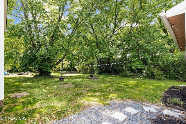207 N Laurel Cir, Knoxville, TN 37912 - view of grassy yard