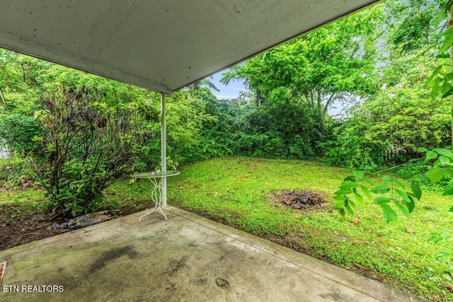 255 N Purdue Ave, Oak Ridge, TN 37830 - view of green lawn with a patio