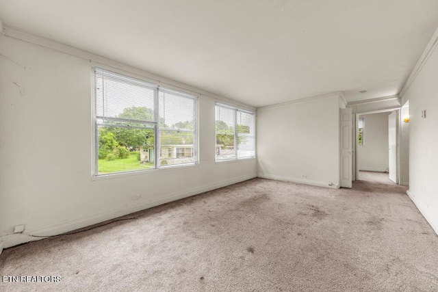 255 N Purdue Ave, Oak Ridge, TN 37830 - empty room with ornamental molding, healthy amount of natural light, light carpet, and baseboards