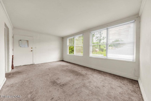 255 N Purdue Ave, Oak Ridge, TN 37830 - spare room with carpet floors, crown molding, and baseboards